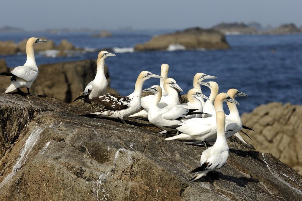 Hôtel Ker Mor Perros-Guirec Bagian luar foto